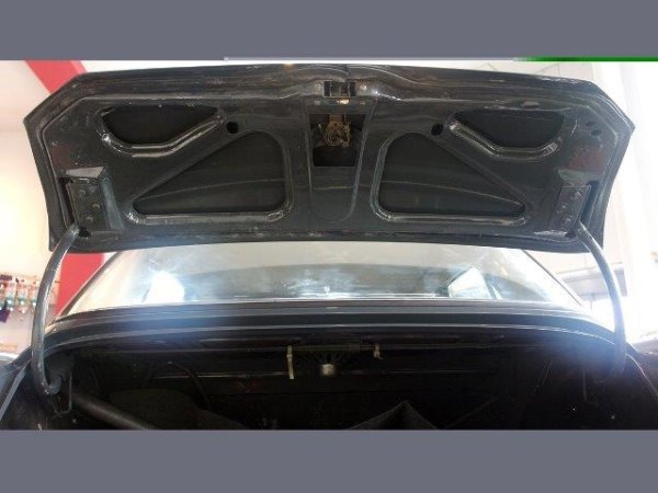 画像4: バンデンプラス　プリンセス　Mk-2 (4)